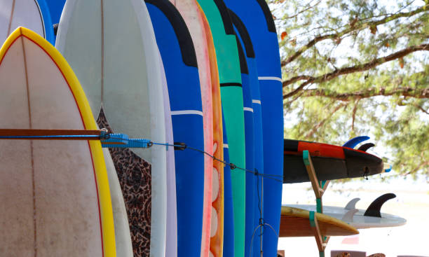 istock Stack of colorful surfboards ready for rent on the beach 851155908