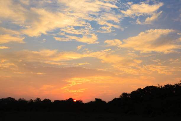 istock Sundown from Pantanal, Brazil 851169108
