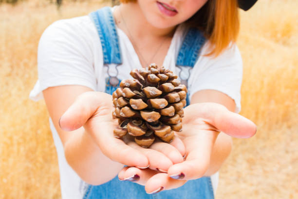 istock Young Girl in Overalls Holding up a Pinecone 851173718