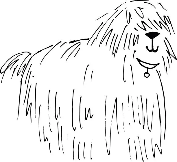 Vector illustration of Shaggy dog vector hand drawn illustration