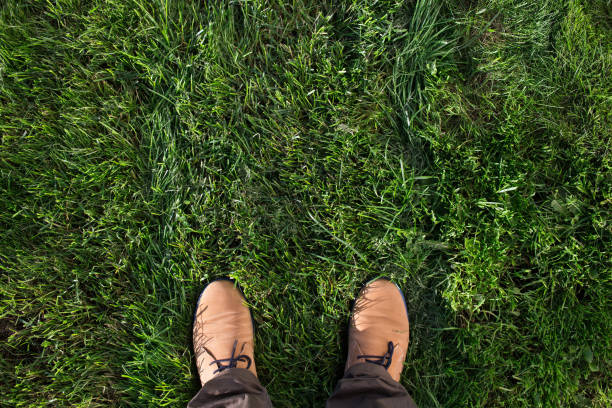 istock Beige suede boots on a green grass. Top view, flat lay 851197164