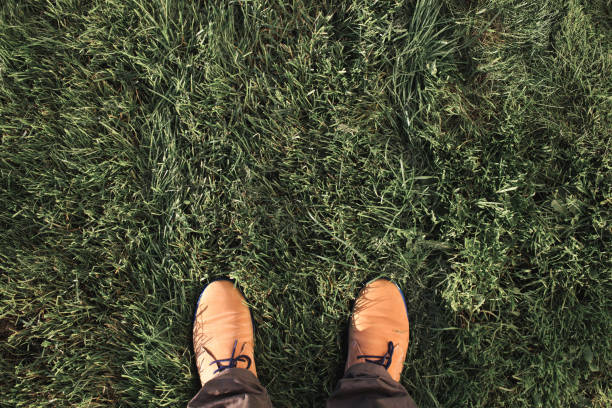 istock Beige suede boots on a green grass. Top view, flat lay 851197240