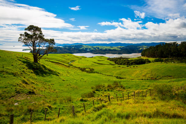 istock New Zealand Countryside 851197768