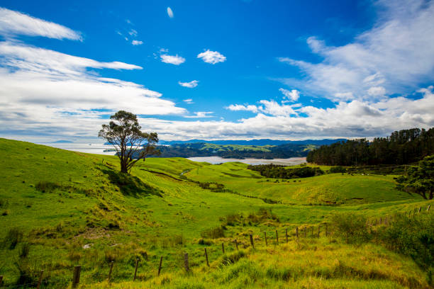 istock New Zealand Countryside 851197826