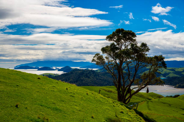 istock New Zealand Countryside 851197904