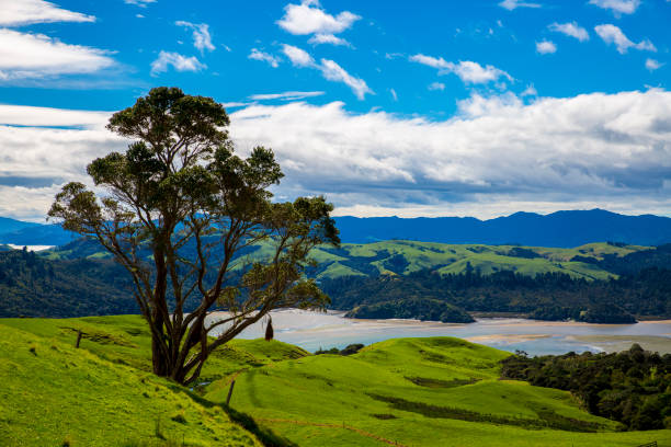 istock New Zealand Countryside 851197938