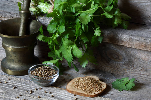 istock Coriander - ground, grains and green leaves 851249362