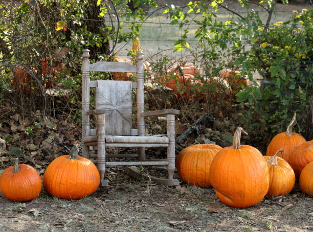 istock Pumpkins and Chair 851257464