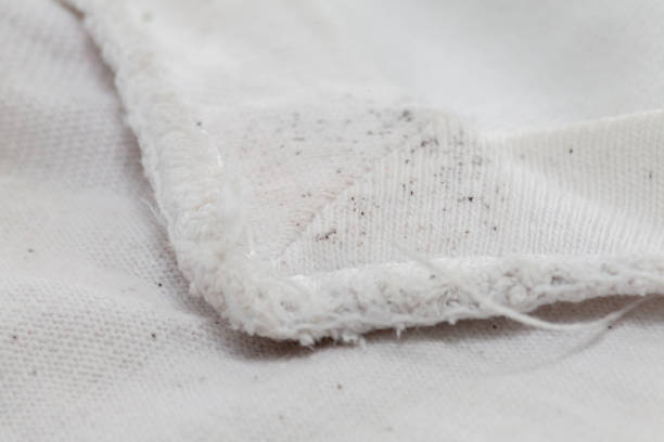 istock moldy of the dirty cloth 851260846
