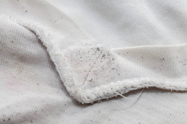 moldy of the dirty cloth