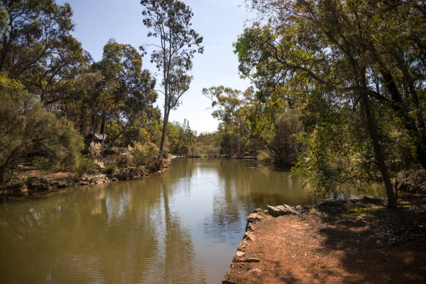 istock A river flowing through John Forrest National Park, Western Australia 851263828