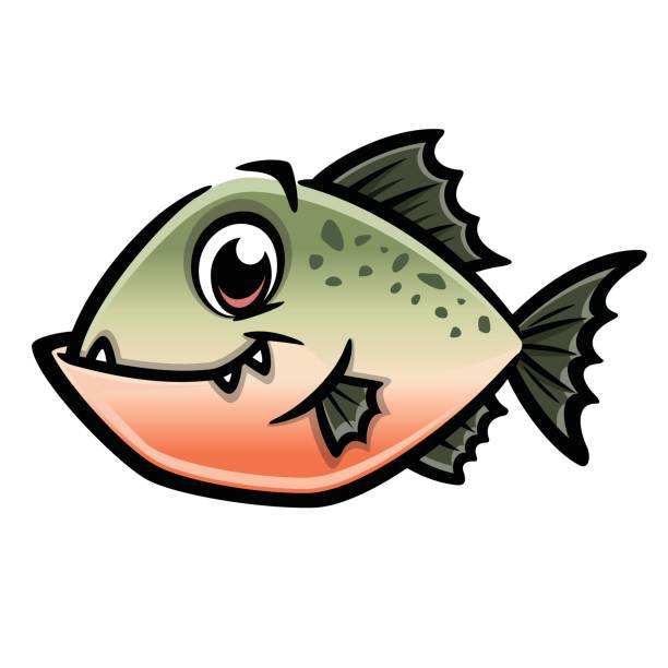 Cartoon Piranha vector art illustration