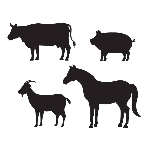 animals farm domestic icon animals farm domestic icon vector illustration design cow clipart stock illustrations