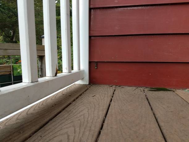 istock red house with a caterpillar butterfly pupae 851267248