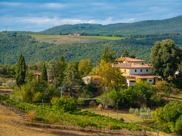 istock A beautiful day in Tuscany Italy with blue sky 851276518