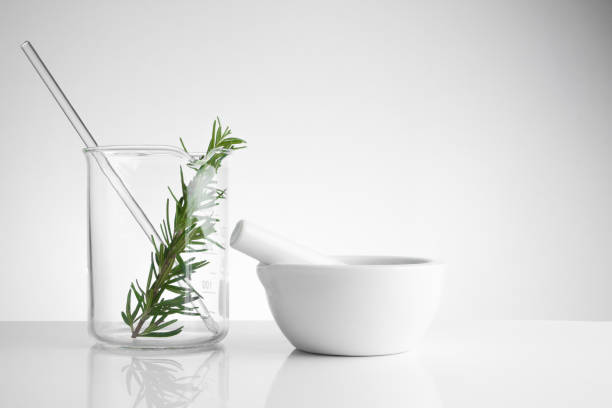 istock herbal medicine natural organic and scientific glassware, Research and development concept. 851284936