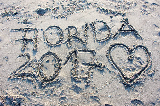 istock Sunset at the Beach in Captiva Florida 851337586
