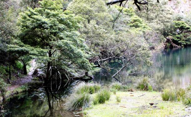 istock wildlife,nature,landscape Austalia 851343400