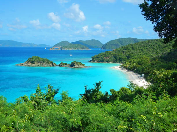 istock Trunk Bay U.S, Virgin Islands by Deborah Maxemow 851384564