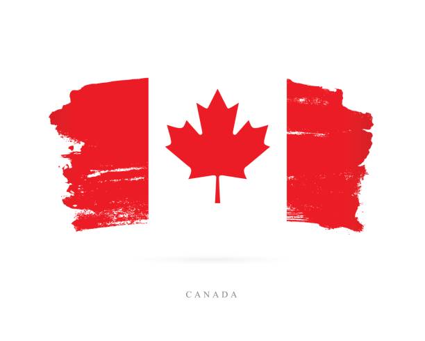 ilustrações, clipart, desenhos animados e ícones de bandeira do canadá. ilustração vetorial - maple tree