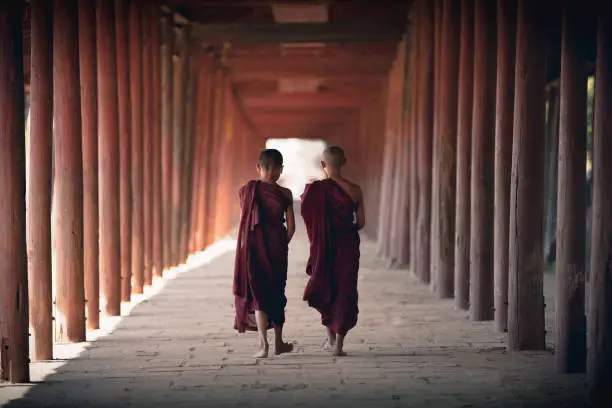 Photo of Novices walking at old temple