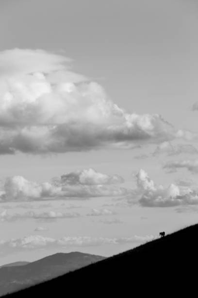istock A tiny horse figure on the side of a mountain, beneath a deep sky 851442022