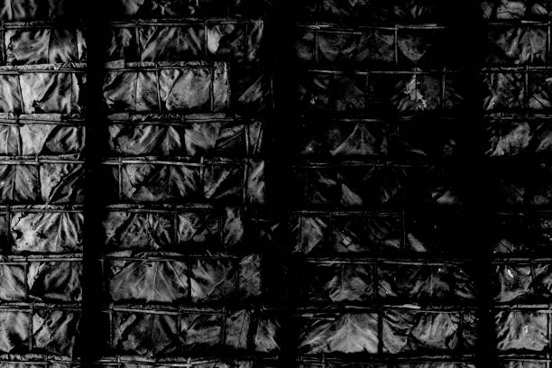 istock Black and white color texture pattern abstract background can be use as wall paper screen saver brochure cover page or for presentations background or article background also have copy space for text. 851442518