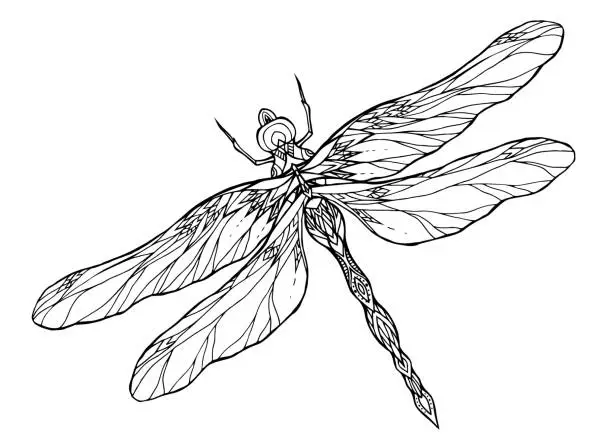 Vector illustration of Black and white dragonfly illustration with a boho pattern.