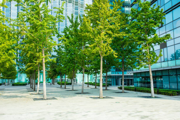istock Green city building 851474912