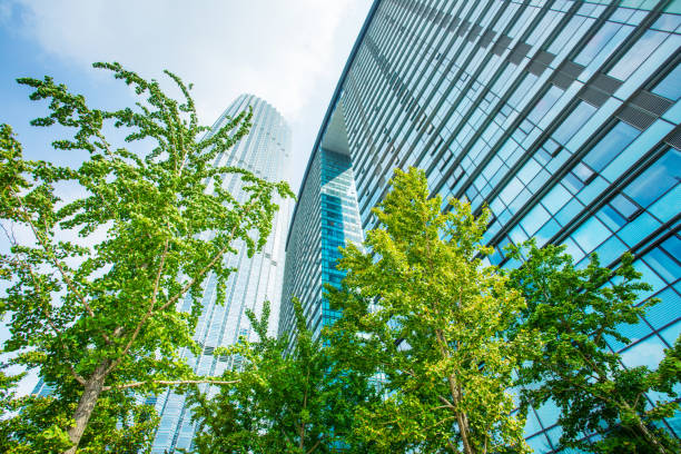istock Green city building 851475064