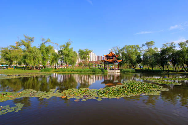 istock traditional style pavilion in a park in China 851479314