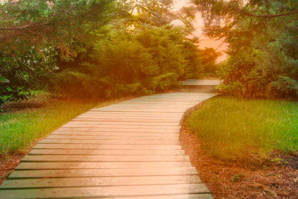 istock A wooden winding walkway in the garden. Toned image 851480166