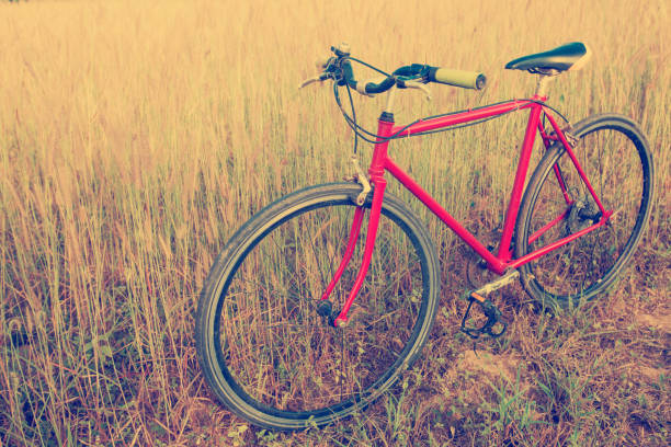 istock red bicycle in morning light,soft and vintage 851483172