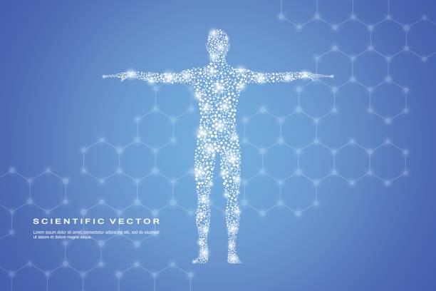 Abstract human body with molecules DNA. Medicine, science and technology concept. Vector illustration Abstract human body with molecules DNA. Medicine, science and technology concept. Vector illustration elementary particle stock illustrations