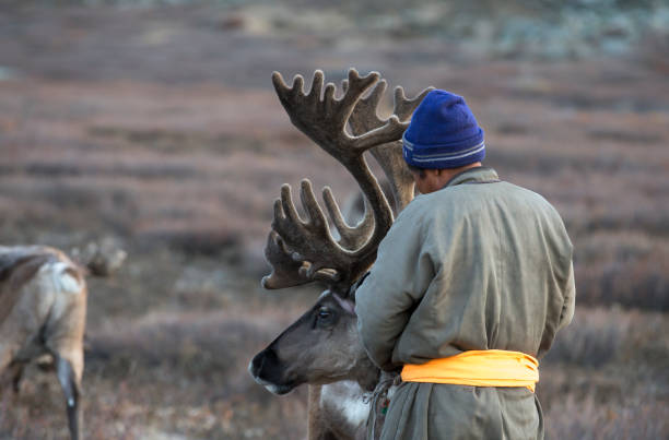 istock tsaatan man, dressed in a traditional deel, with his reindeers 851498138