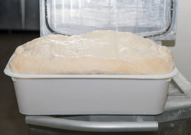 a french bread dough in a tray