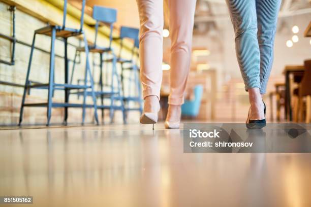 Slim Legs Stock Photo - Download Image Now - Adult, Arts Culture and Entertainment, Business