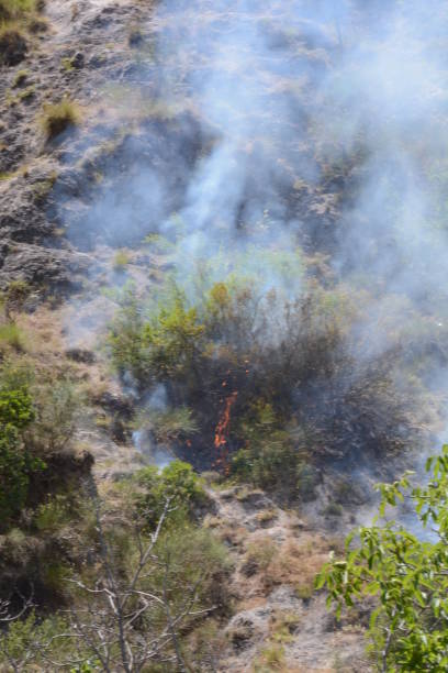 istock Summer fire,South Italy 851510226