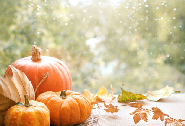 istock Autumn decorations on a windowboard on a rainy day, space 851529484