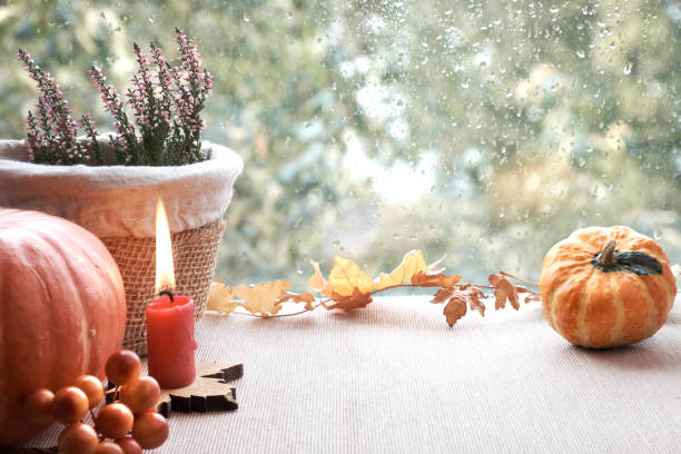 istock Pumpkins, heather and Autumn leaves on a window board 851530584