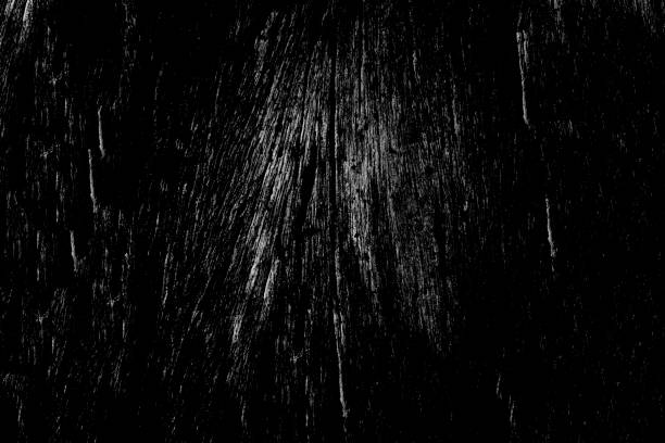 istock Black and white color texture pattern abstract background can be use as wall paper screen saver brochure cover page or for presentations background or article background also have copy space for text. 851547066
