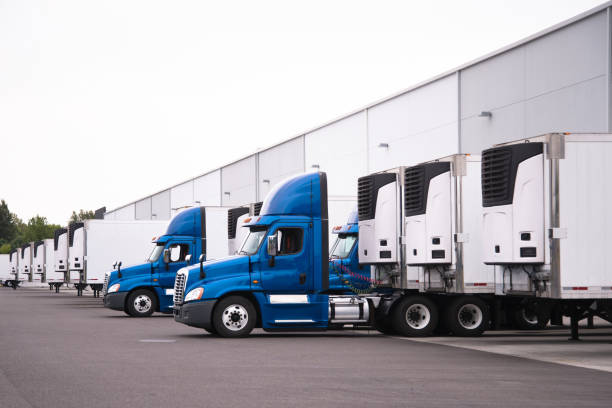 Blue semi trucks and semi trailers stand in row hardly near the warehouse gate under loading and unloading process A day cab big rigs semi trucks with a reefer trailers stand near the gate of the warehouse next to other reefer trailers that are loaded and unloaded to deliver perishable and frozen food to consumers trailer stock pictures, royalty-free photos & images