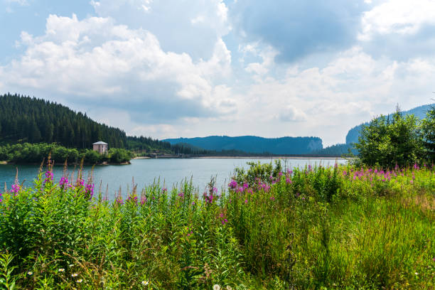 istock mountain lake in the mountains 851547314