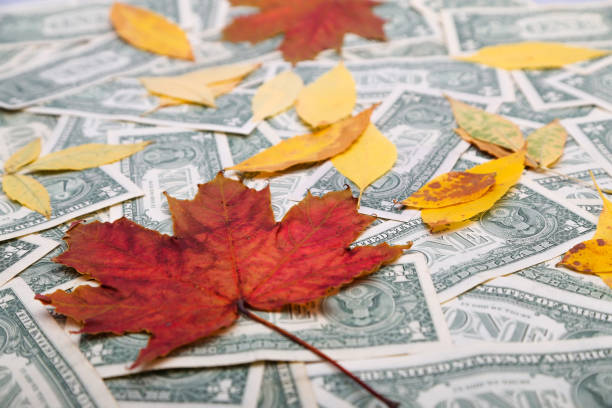 istock white background, photo frame of dollars us 851549148
