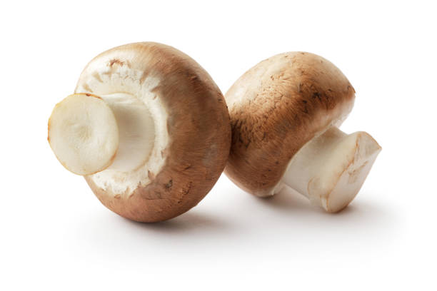 istock Mushrooms: Crimini Mushrooms Isolated on White Background 851575664