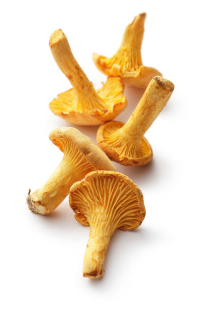 istock Mushrooms: Chanterelle Mushrooms Isolated on White Background 851579012
