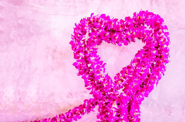 Heart shape made of fresh pink and white alstroemeria petals isolated on white background. Flat lay. Love concept.