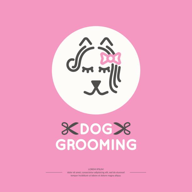 ilustrações de stock, clip art, desenhos animados e ícones de dog grooming vector - dog bathtub washing puppy