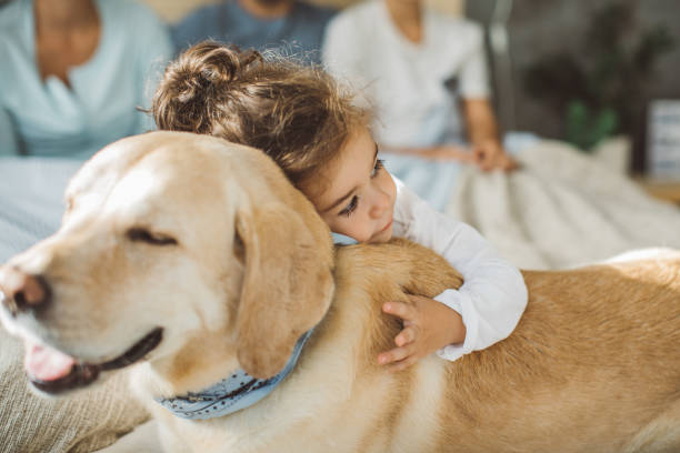 лучшие друзья с первых шагов - child house dog bed стоковые фото и изображения