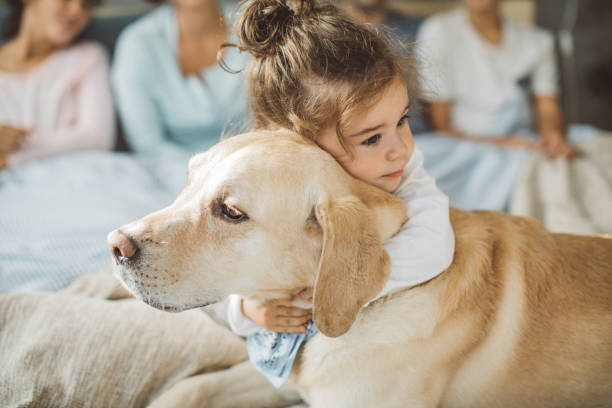 Unconditional love Little boy hugging his dog friend on bed in the morning two dogs hugging stock pictures, royalty-free photos & images